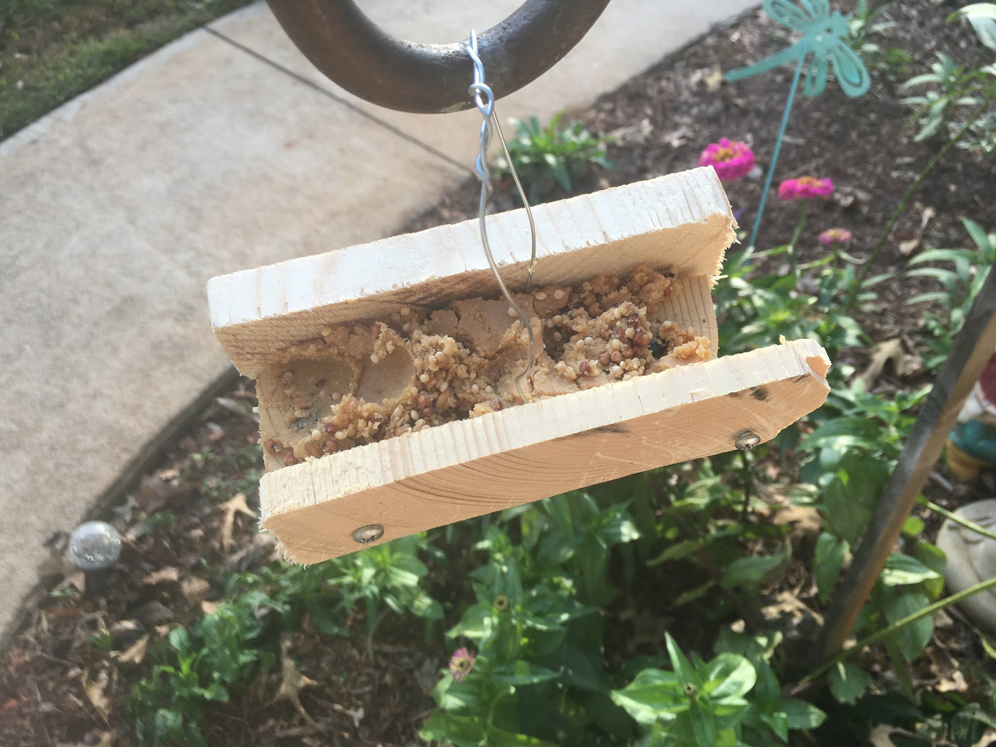 Maple Hill 101 DIY Suet Feeder