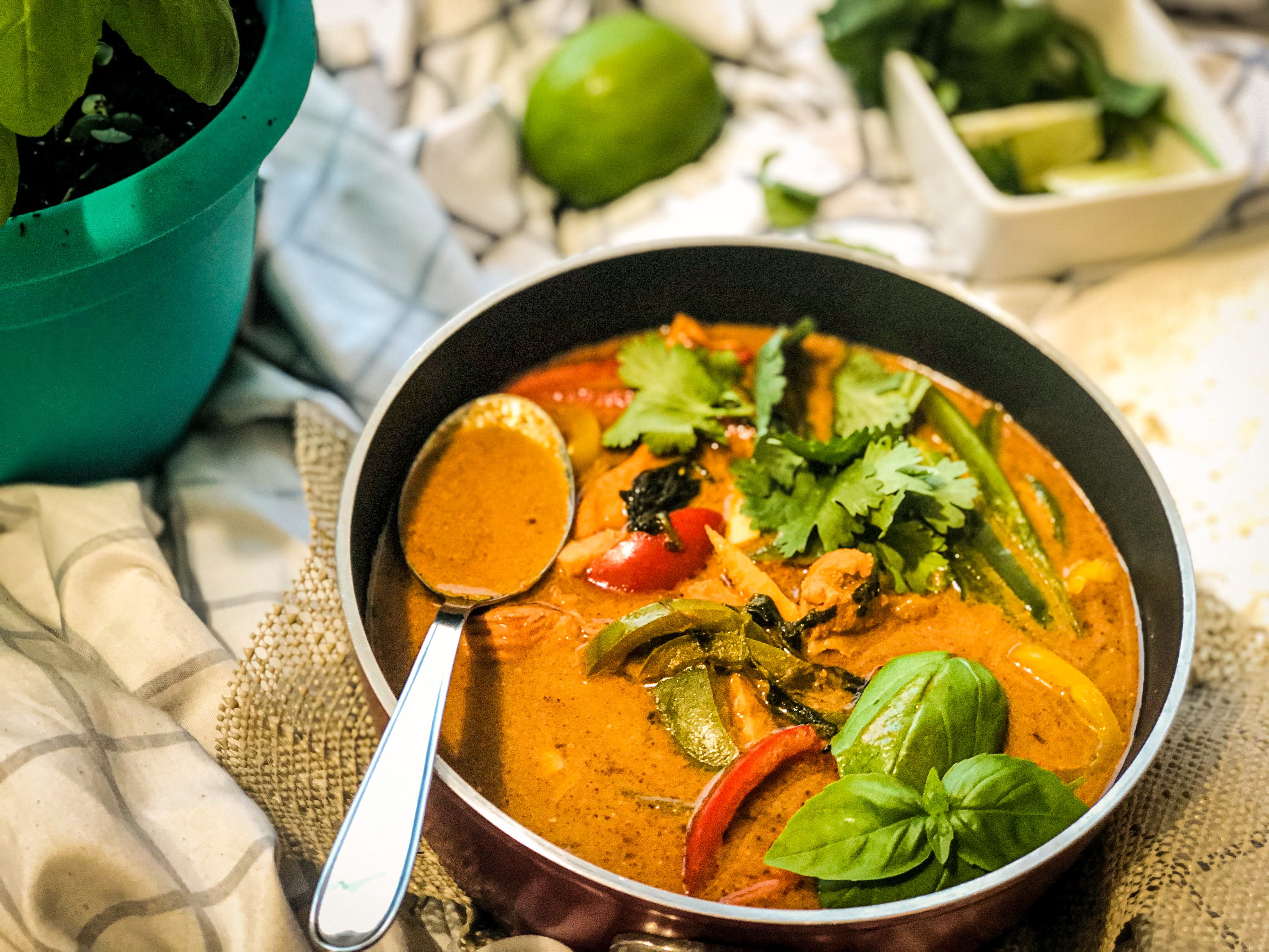 Carnival of Flavors Thai Red Curry Recipe