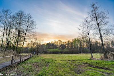 Polana opodal Truskawia, szlak czarny