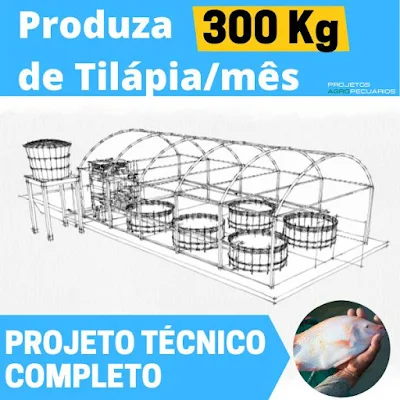 E-book Unidade Superintensiva de Produção de Tilápia 300 Kg/mês - RAS300 - Projeto Técnico