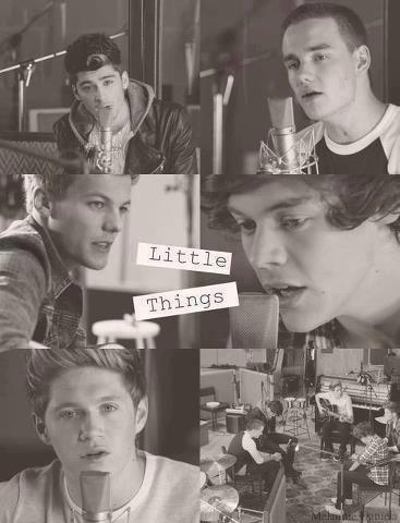 One Direction video Little Things