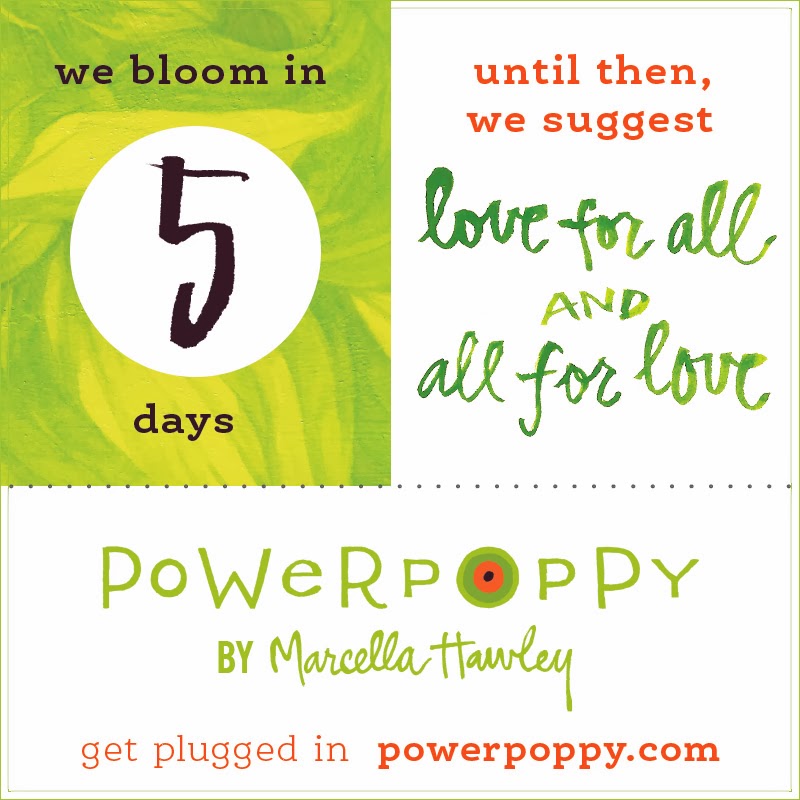 http://powerpoppy.com/