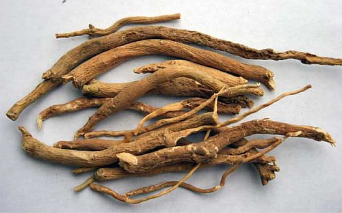 Forever Healthy and Young: The Holistic Approach to Hypothyroidism