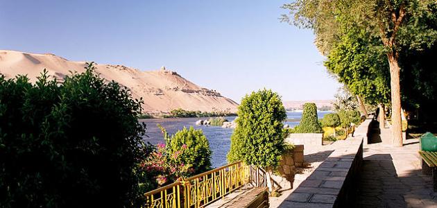 جزر النباتات جزر النباتات