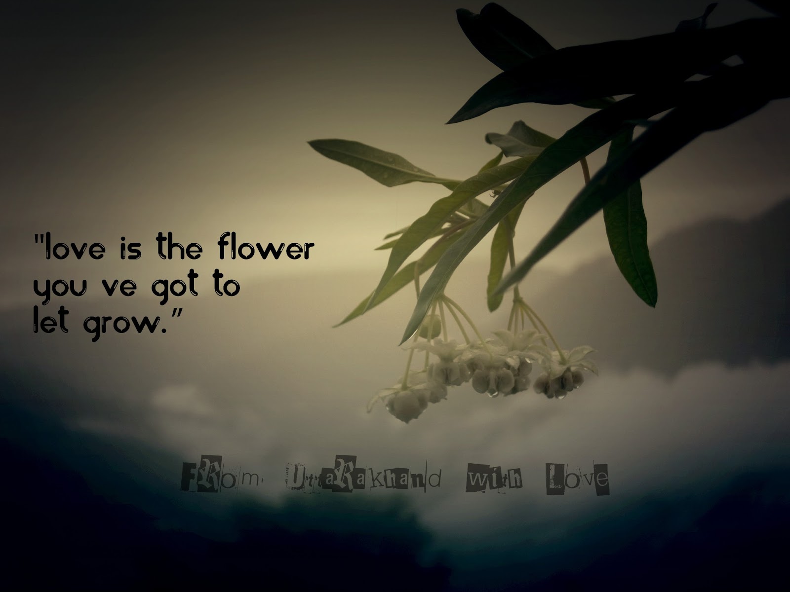 flower quotes flower quotes flower quotes