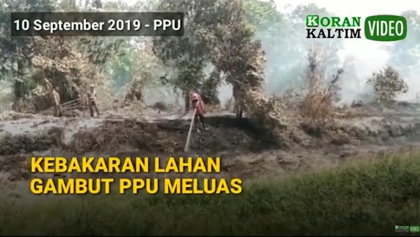 Hanya Sehari, Calon Ibu Kota Baru Sudah Diserbu 4 Kebakaran Lahan