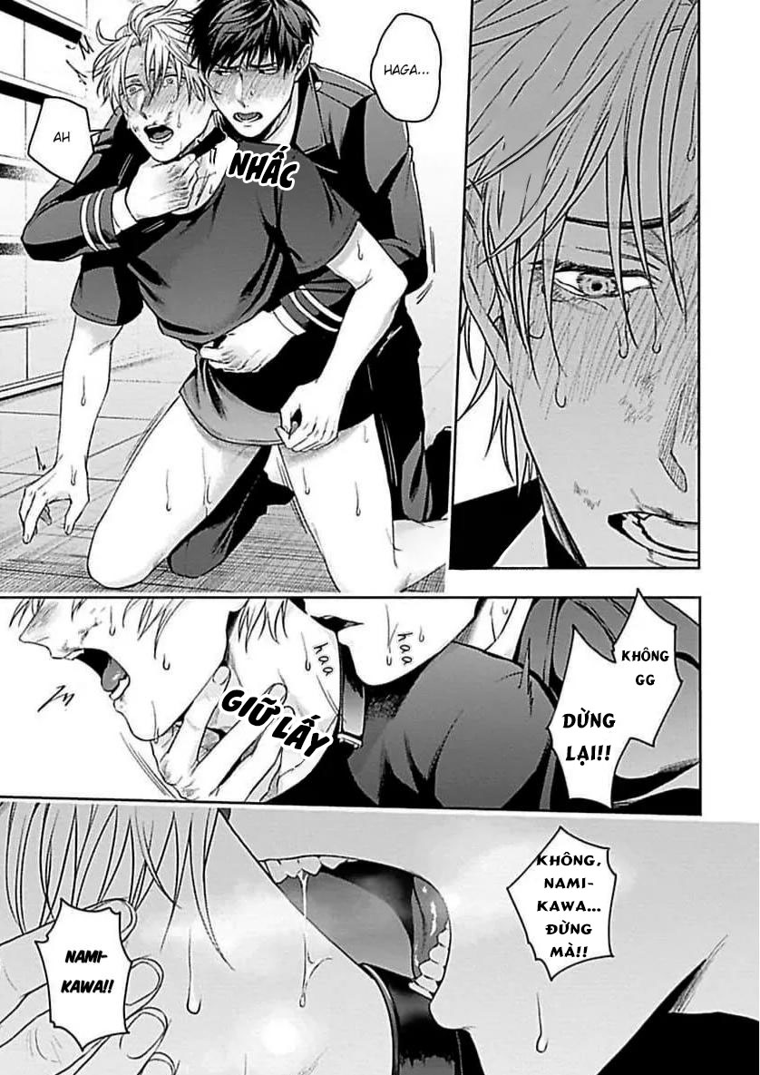 Đọc truyện SAKISHITA Senmu Haga-kun wa Kamaretai (Vietnam) - Chapter 4