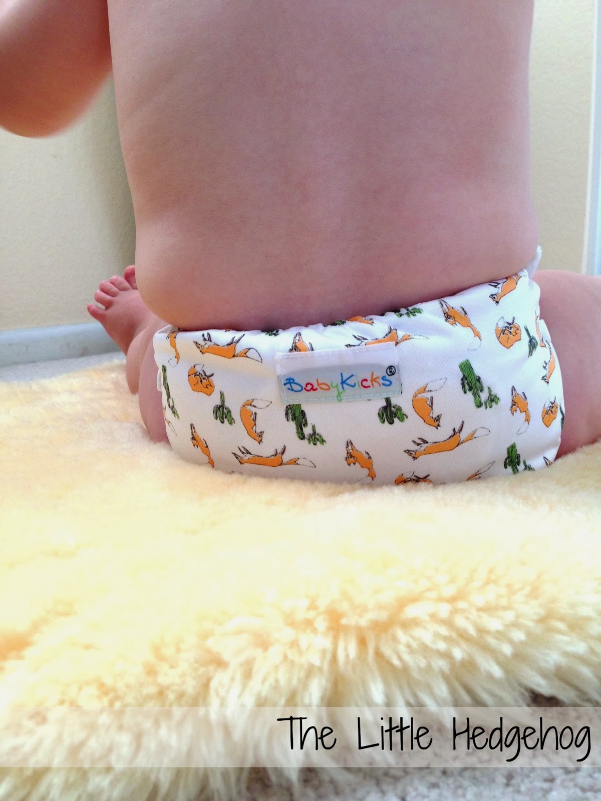the little hedgehog What Does the Fox Say? Choose BabyKicks Diapers