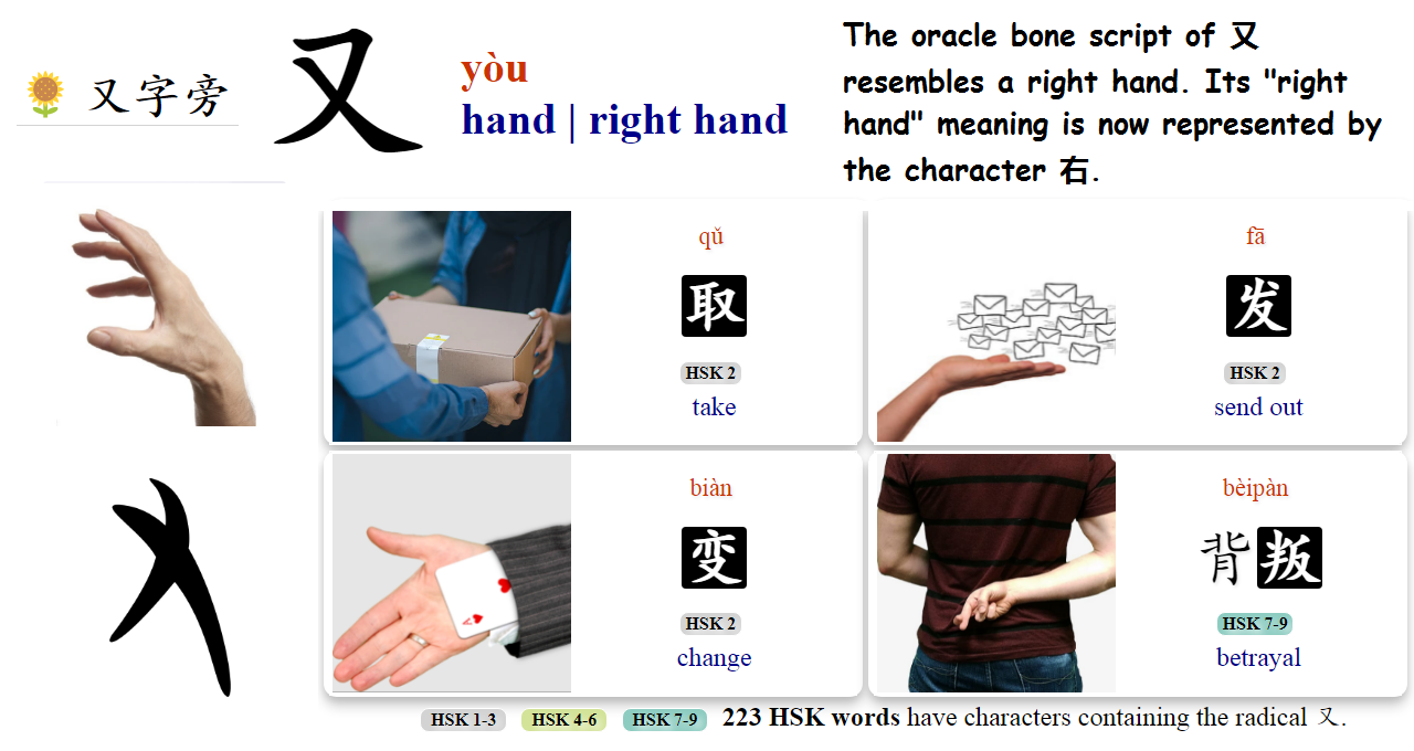 Bones script. Oracle Bone script.