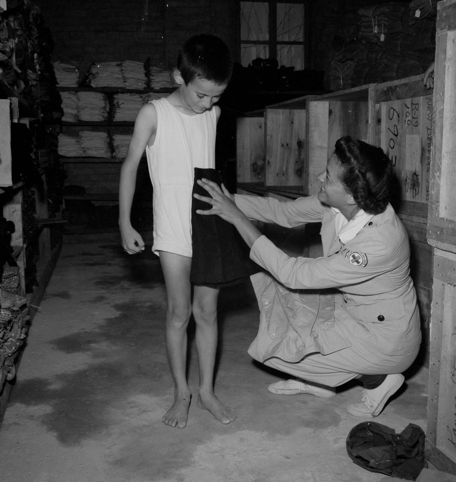 Rare photographs  When European refugees fled to Egypt  1944 - 94