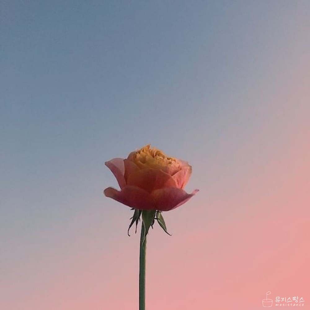 MADY – 설렘 – Single