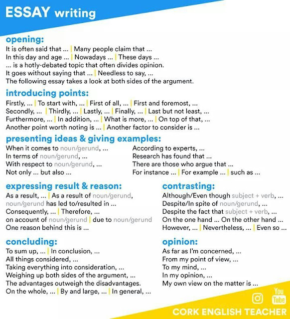 ESSAY WRITING (WRITING)