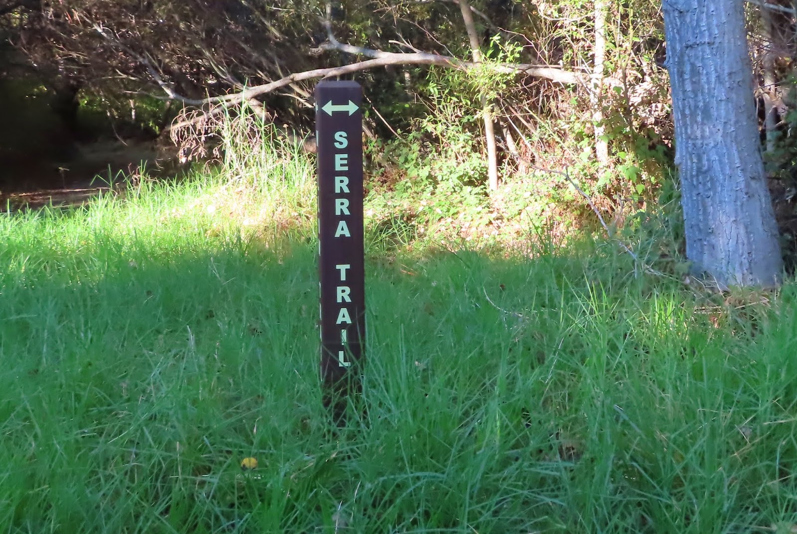 Carmel by the Sea Mission Ranch, Mission Trails Park, Mission Basilica