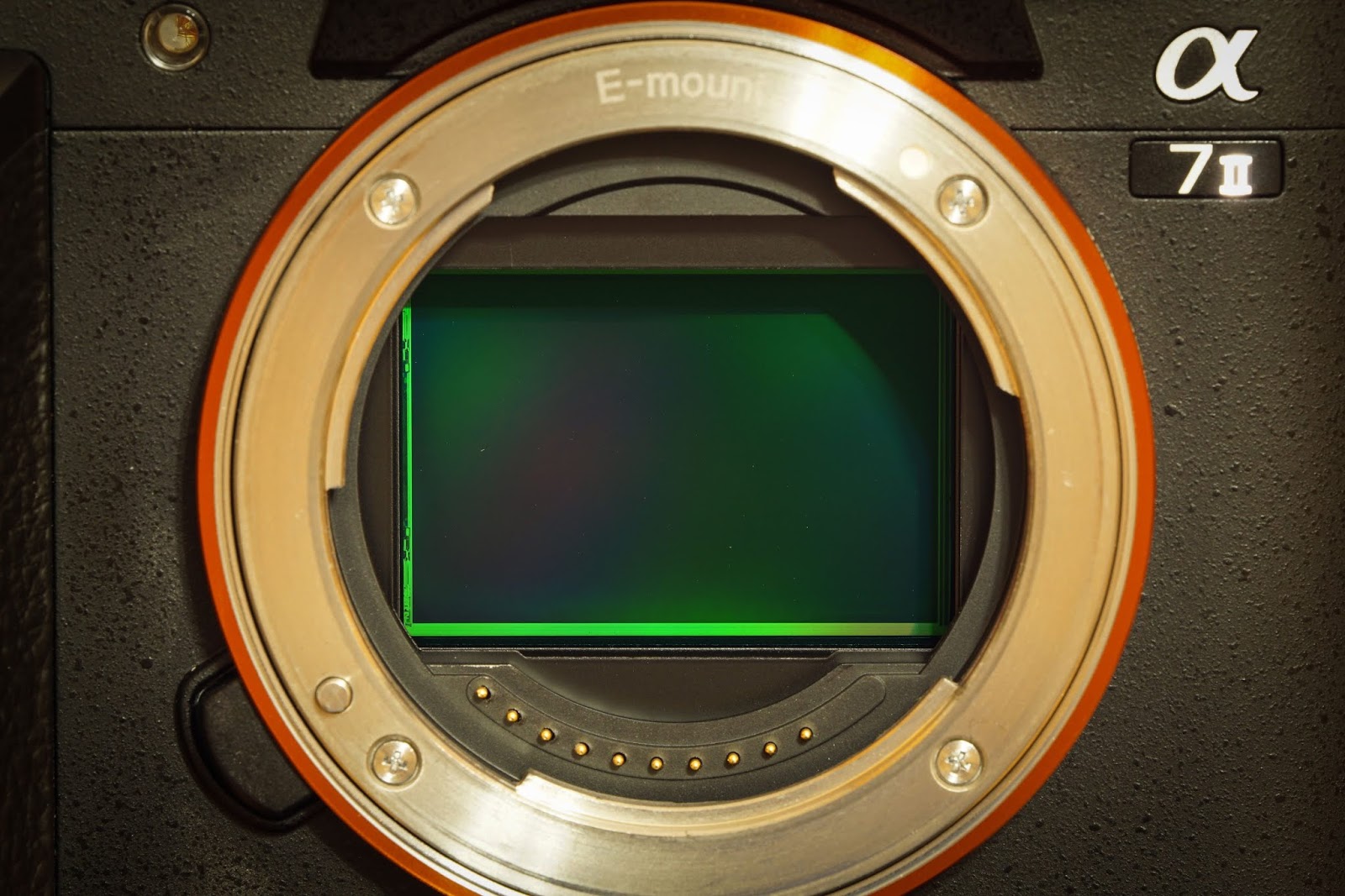Sensor kamera mirrorless