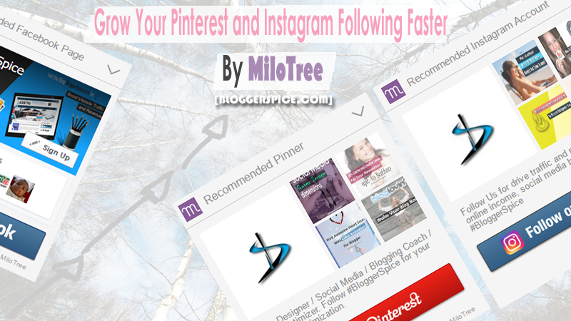 Milotree wordpress plugins Grow Your Pinterest and Instagram Following faster By MiloTree