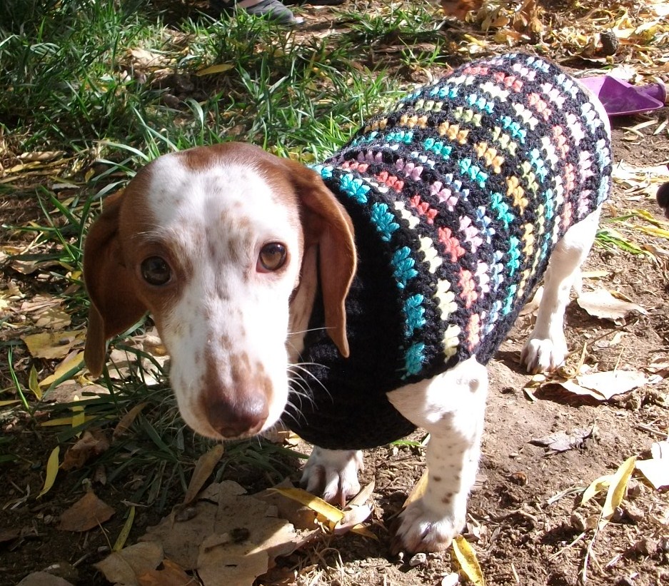 Copper Llama Studio: Rainbow Crochet Dog Sweater