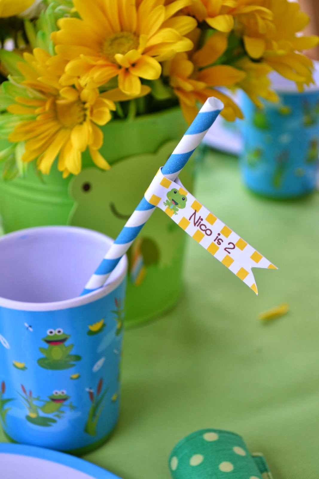 Partylicious Events PR: A Froggy Birthday