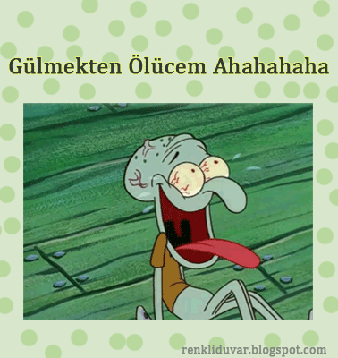 renkliduvar77563.gif