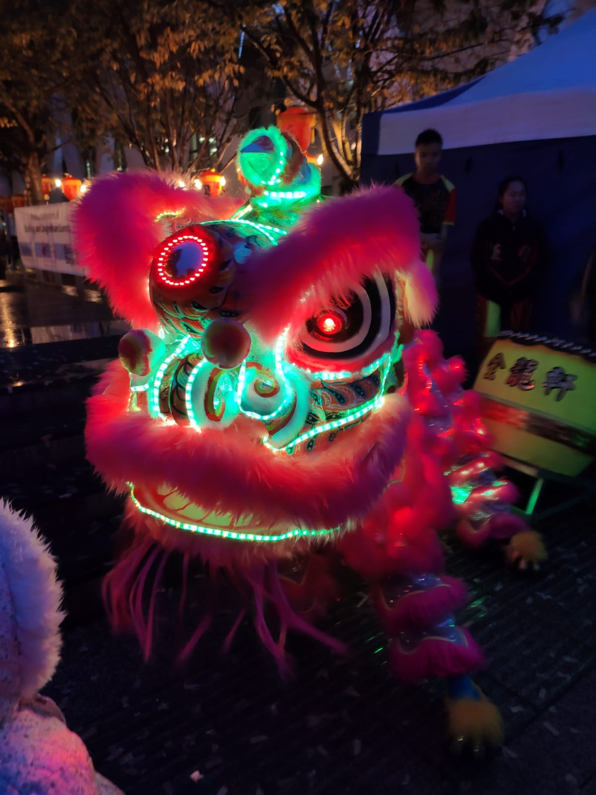 Guy Fawkes Lantern Parade - LBBD - London Lion Dance
