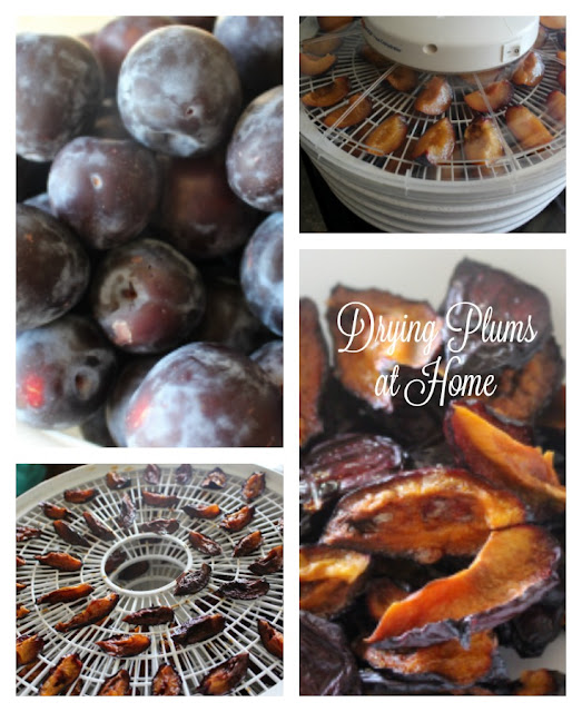 Snappily Ever After Drying Plums at Home