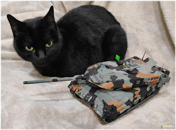 cat & leopard 2a6