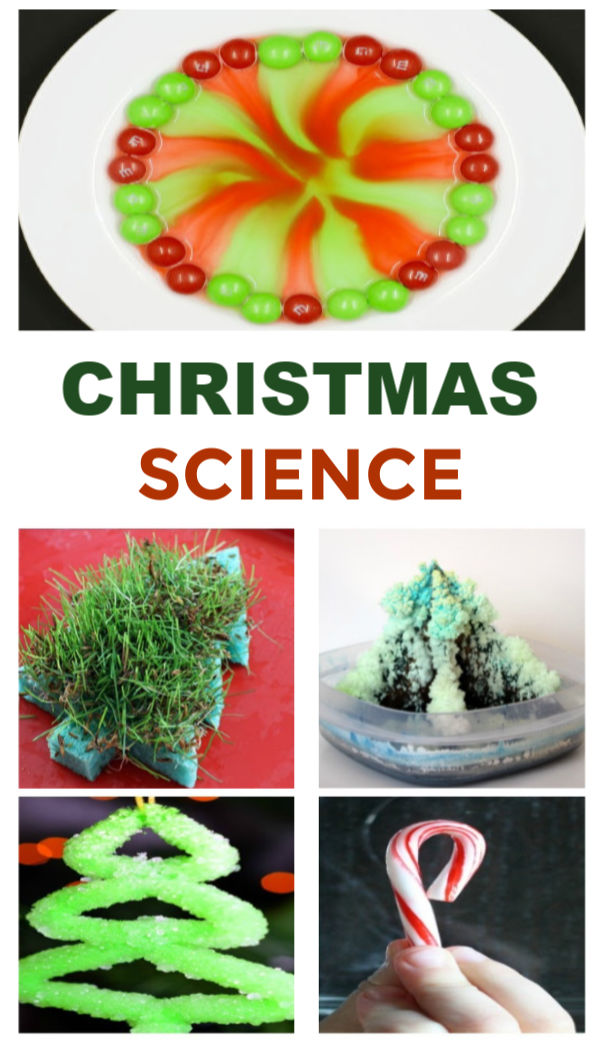 Is it magic or science?  You decide!  An amazing collection of holiday science experiments for kids! #christmas #christmasscienceexperimentsforkids #christmasscience #christmassciencepreschool #chrismtasexperimentsforkids #holidayscienceactivitiesforkids #holidayscience #christmascrafts #growingajeweledrose #activitiesforkids 