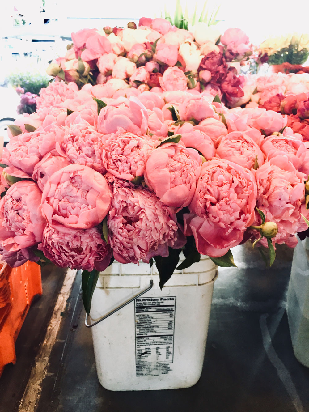 Pike Place Peonies
