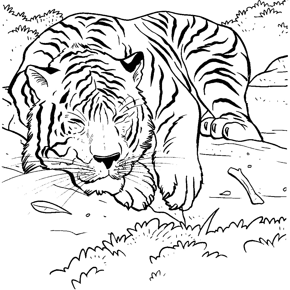 Mewarnai Gambar Harimau Mewarnai Gambar Mewarnai Gambar Harimau Mewarnai Gambar