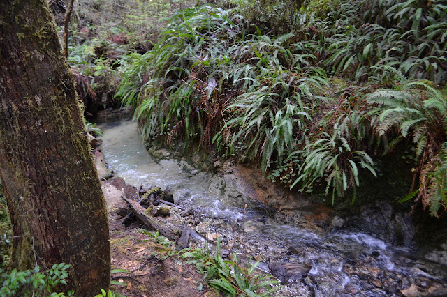 green tinged creek