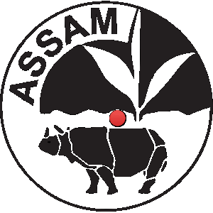 Assam lotery result