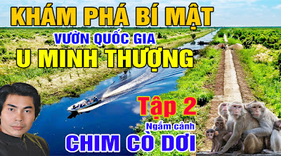 Dương Lễ tham quan rừng quốc gia U Minh Thượng, ngắm cảnh đẹp sông nước lung linh tại rừng quốc gia U minh thượng