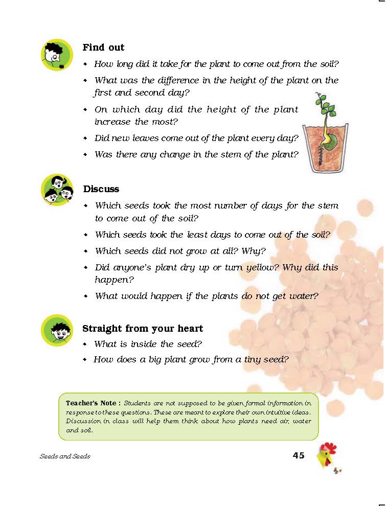 CLASS V EVS TEXT BOOK 05 SEEDS AND SEEDS