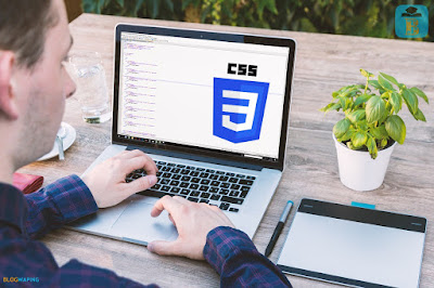 CSS Language: Basics Guide For Beginners - Blogwaping