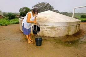 RIOS TUBE APRESENTA: VÍDEOS SOBRE A CAATINGA