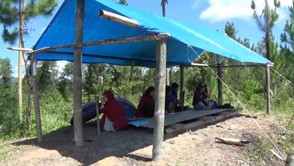 Beratnya Perjuangan Mahasiswa di Mamasa, Naik Turun Gunung Demi Kuliah Online