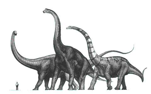 Ninjemys: Alamosaurus and the North American sauropod hiatus