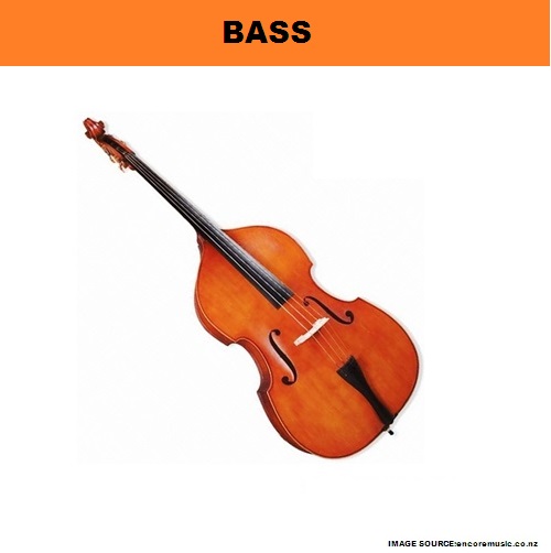 My Homeworks STRING INSTRUMENTBASS