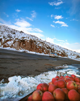 التفاح الجولاني وثلوج جبل الشيخ