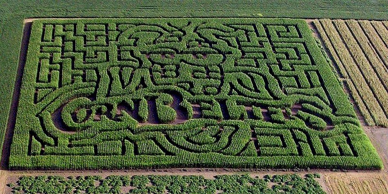 El muro vegetal: LABERINTOS DE MAIZ