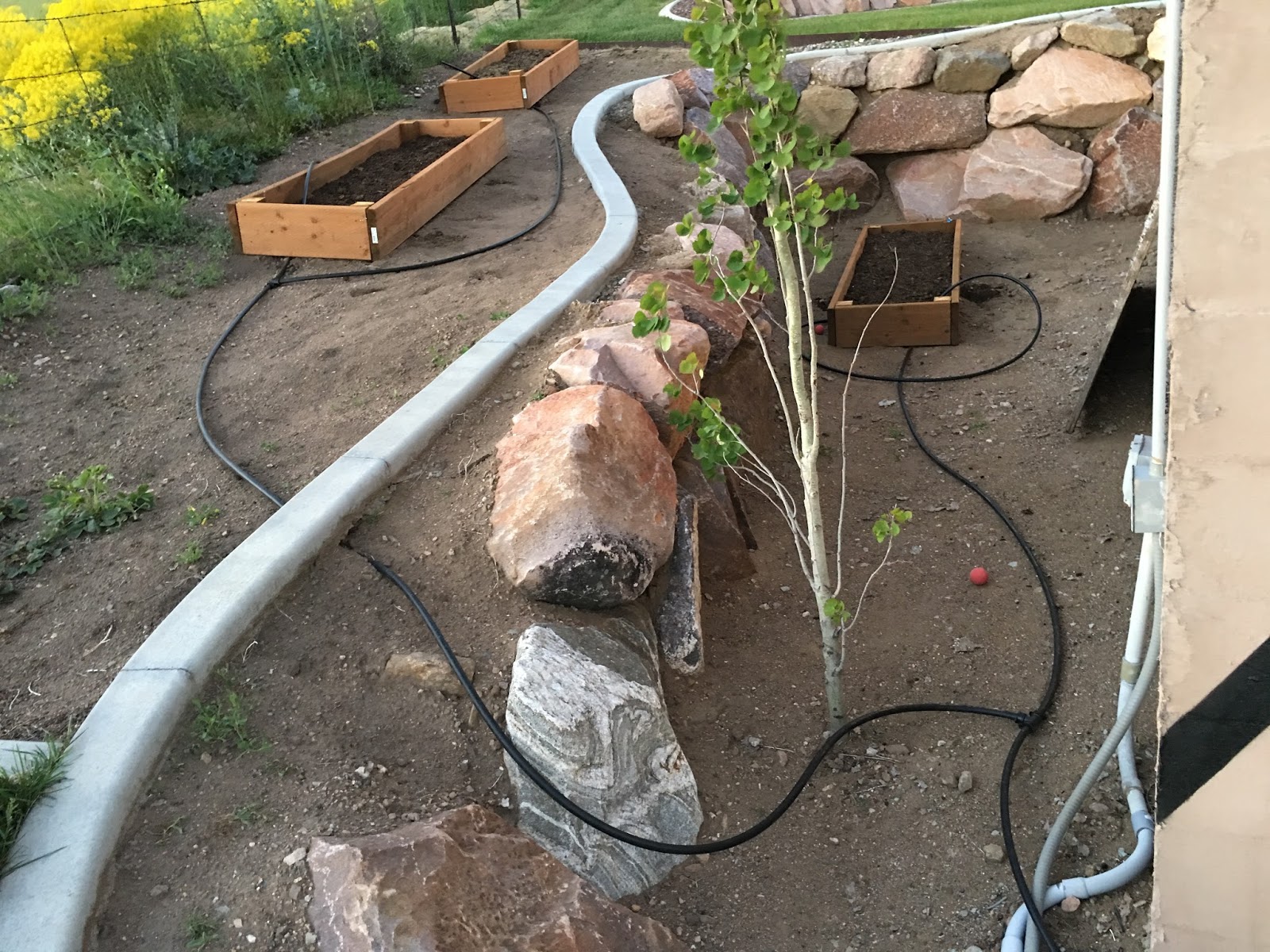 DIY Projects: Garden Boxes