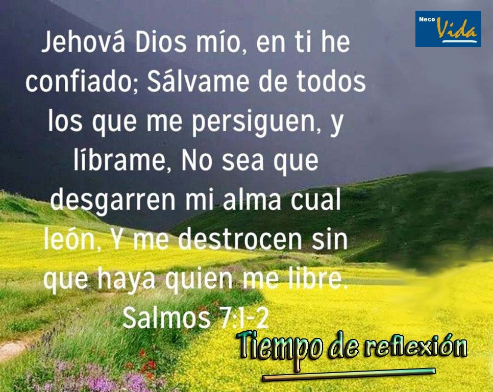 Neco Vida Tiempo... Salmo 7. 1 4