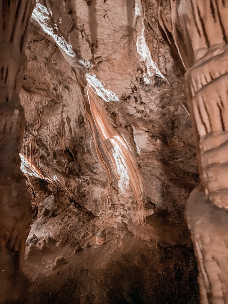 Postojna Cave or skocan cave