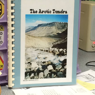 arctic tundra book