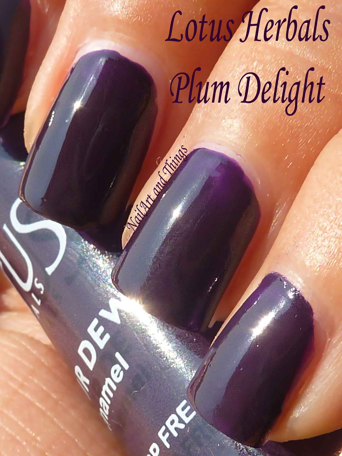 Colourful Festive Mani Lotus herbalsPlum Delight Nail Art