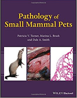 Pathology of Small Mammal Pets 1st Edition