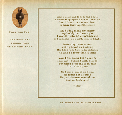 the donkey poem