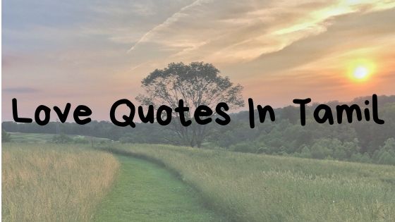 Love Quotes In Tamil | தமிழில் காதல் மேற்கோள்கள் Love Quotes In Tamil | தமிழில் காதல் மேற்கோள்கள்