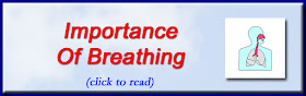 http://mindbodythoughts.blogspot.com/2012/07/the-importance-of-breathing.html
