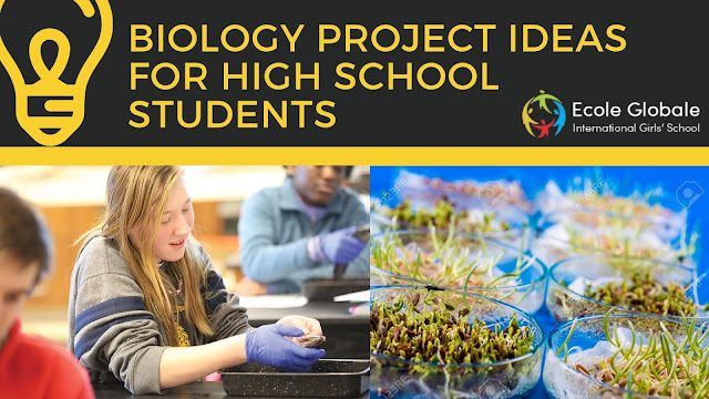 Biology Project Ideas for High School Students