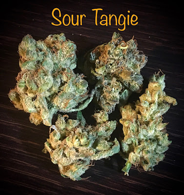 pennsylvania medical marijuana,terrapin,sour tangie,sour tangie flower,pa medical marijuana